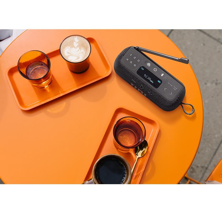 Преносимо Радио, JBL Tuner 3, Черен (6)