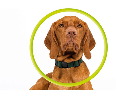 Калъф за Каишка за Apple AirTag 1/ 2, Mobile Origin Airtag Pet Collar Case, Черен (6)